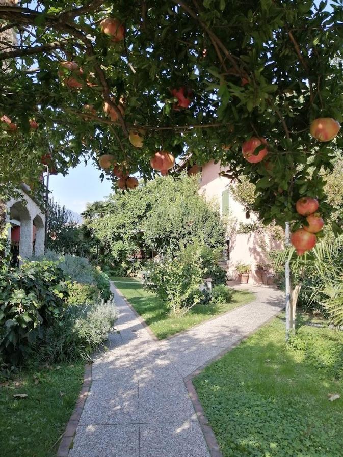Al Rustico Hotel Torbole Sul Garda Bagian luar foto